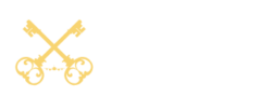 VIP机场服务